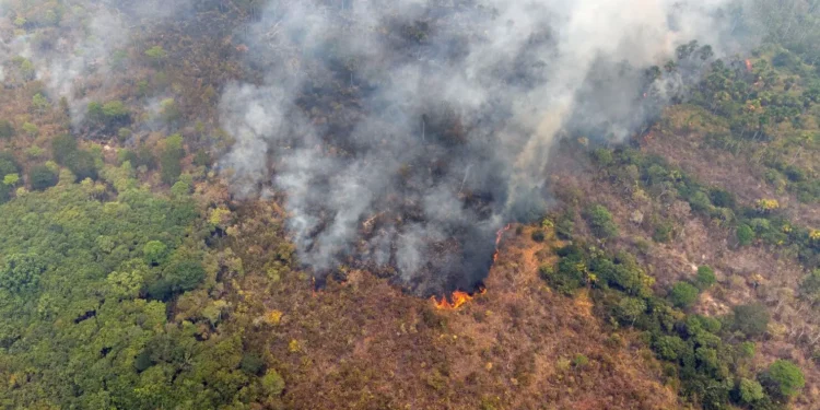 brasil-registra-queda-historica-de-queimadas-na-amazonia-em-2025