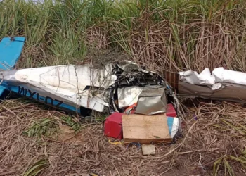 aviao-com-180-kg-de-drogas-cai-em-alagoas-e-deixa-um-morto