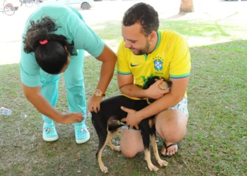 aparecida-tera-vacinacao-antirrabica-gratuita-para-caes-e-gatos-no-sabado-(20);-veja-pontos