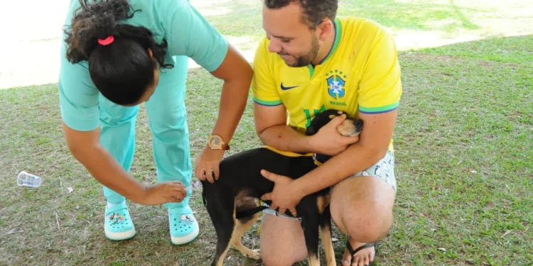 aparecida-tera-vacinacao-antirrabica-gratuita-para-caes-e-gatos-no-sabado-(20);-veja-pontos