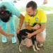 aparecida-tera-vacinacao-antirrabica-gratuita-para-caes-e-gatos-no-sabado-(20);-veja-pontos