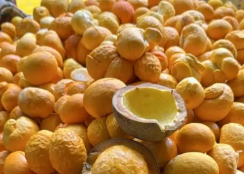 arroz-com-pequi-vira-patrimonio-cultural-e-movimenta-mercado-goiano