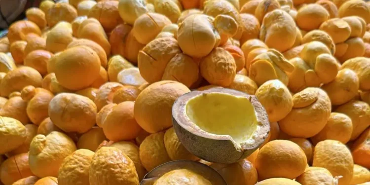 arroz-com-pequi-vira-patrimonio-cultural-e-movimenta-mercado-goiano