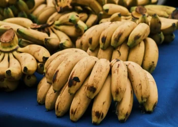 ronald-e-radsley-miram-sequencia-positiva-do-atletico-go-na-serie-b-com-foco-total-no-remo