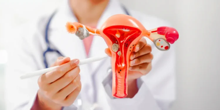 17-mil-novos-casos-de-cancer-de-colo-do-utero-surgem-anualmente-no-brasil