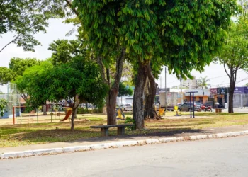 jameloes-voltam-a-causar-acidentes-e-revoltam-motoristas-em-goiania