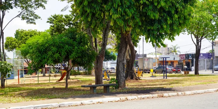 jameloes-voltam-a-causar-acidentes-e-revoltam-motoristas-em-goiania