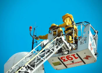 enxame-de-abelhas-e-removido-da-cabeca-do-cristo-redentor-em-senador-canedo