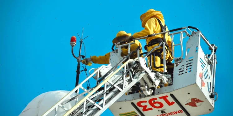 enxame-de-abelhas-e-removido-da-cabeca-do-cristo-redentor-em-senador-canedo