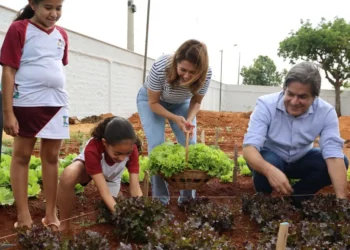 primeira-colheita-marca-avanco-do-projeto-agricultura-urbana-em-aparecida