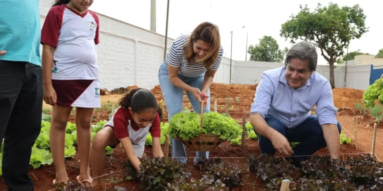 primeira-colheita-marca-avanco-do-projeto-agricultura-urbana-em-aparecida