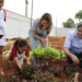 primeira-colheita-marca-avanco-do-projeto-agricultura-urbana-em-aparecida