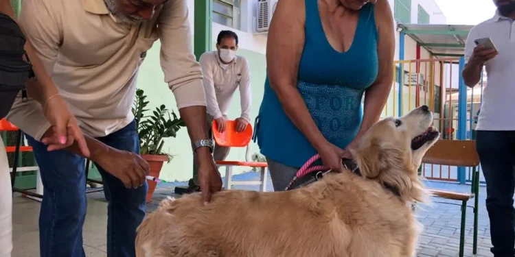 campanha-antirrabica-mobiliza-capital-com-288-pontos-de-vacinacao-para-caes-e-gatos