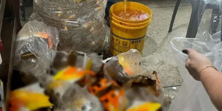 policia-prende-dono-de-distribuidora-em-trindade-por-suspeita-de-fraude-em-bebidas-alcoolicas