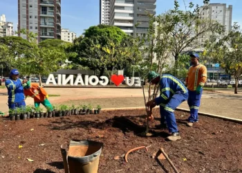 goiania-inicia-revitalizacao-de-pracas-com-acoes-de-paisagismo-e-reparos-urbanos