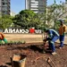goiania-inicia-revitalizacao-de-pracas-com-acoes-de-paisagismo-e-reparos-urbanos