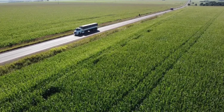 moraes-suspende-fundeinfra-e-parceria-do-governo-caiado-com-o-ifag