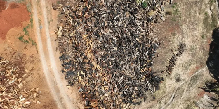 semad-autua-40-ceramicas-em-goias-por-falta-de-licenca-ambiental-e-uso-de-madeira-ilegal