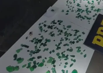 homens-sao-presos-com-pedras-preciosas-sem-origem-comprovada-na-br-153,-em-jaragua