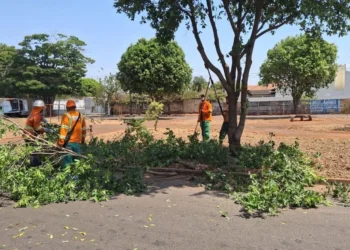 prefeitura-de-goiania-realiza-poda-preventiva-em-mais-de-1,3-mil-arvores-na-regiao-oeste
