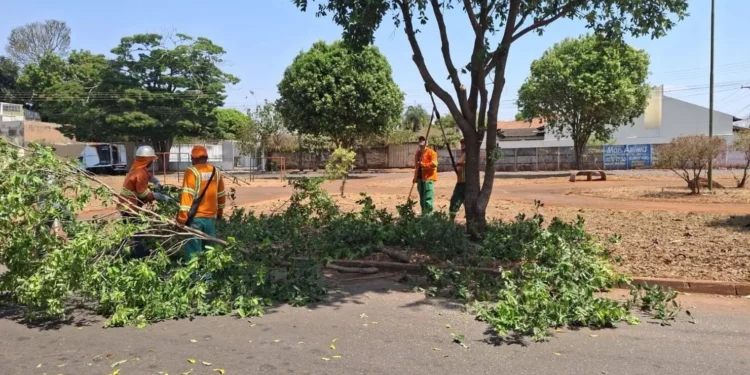 prefeitura-de-goiania-realiza-poda-preventiva-em-mais-de-1,3-mil-arvores-na-regiao-oeste