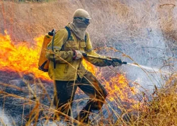 raios-provocam-novo-incendio-na-chapada-dos-veadeiros-em-goias