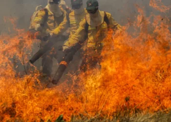 incendio-na-chapada-dos-veadeiros-atinge-terra-indigena-e-ja-destruiu-mais-de-111-mil-hectares