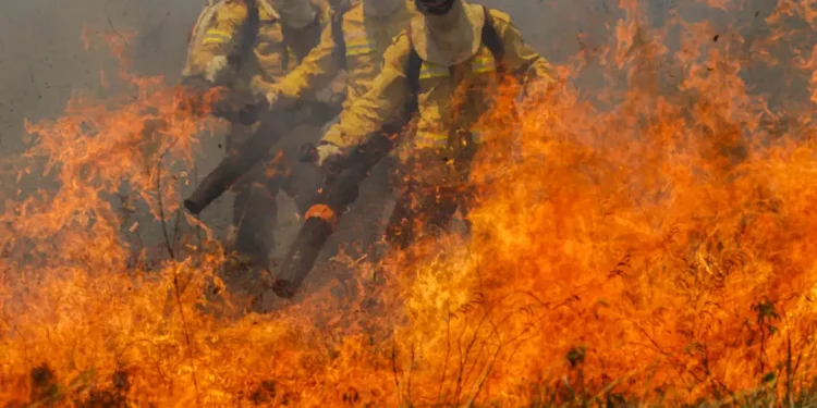 incendio-na-chapada-dos-veadeiros-atinge-terra-indigena-e-ja-destruiu-mais-de-111-mil-hectares