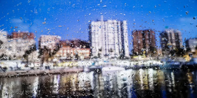 chuva-em-goiania-provoca-queda-de-6-arvores-e-3-galhos