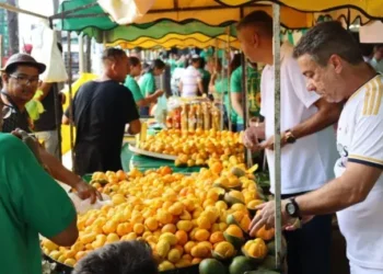 festa-do-pequi-em-goiania-celebra-o-fruto-simbolo-de-goias-nesta-quinta-feira-(23)