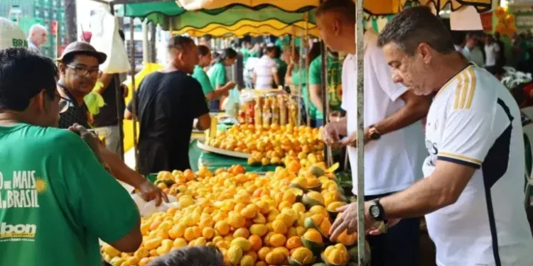 festa-do-pequi-em-goiania-celebra-o-fruto-simbolo-de-goias-nesta-quinta-feira-(23)