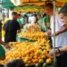 festa-do-pequi-em-goiania-celebra-o-fruto-simbolo-de-goias-nesta-quinta-feira-(23)