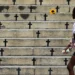 goias-registra-38-feminicidios-ate-outubro-e-mais-de-17-mil-medidas-protetivas-em-2025