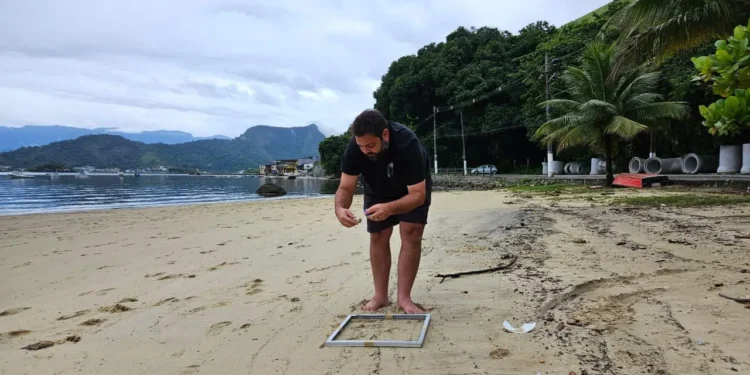 maior-estudo-sobre-microplasticos-revela-contaminacao-em-70%-das-praias-brasileiras
