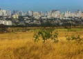 goias-enfrenta-domingo-de-calor-e-risco-de-incendios