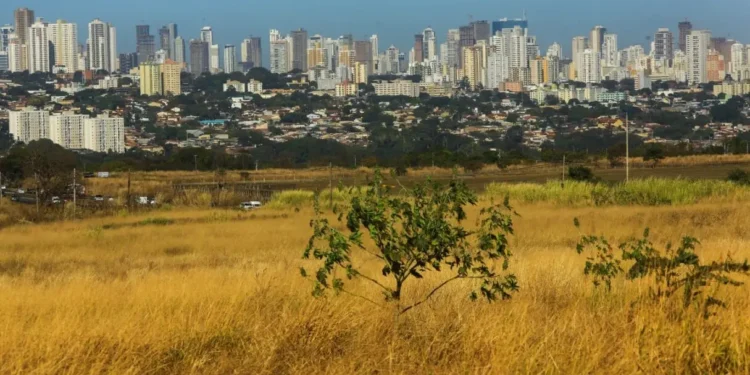 goias-enfrenta-domingo-de-calor-e-risco-de-incendios