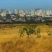 goias-enfrenta-domingo-de-calor-e-risco-de-incendios