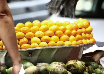 producao-de-pequi-em-goias-despenca-22%-e-preocupa-comunidades-extrativistas