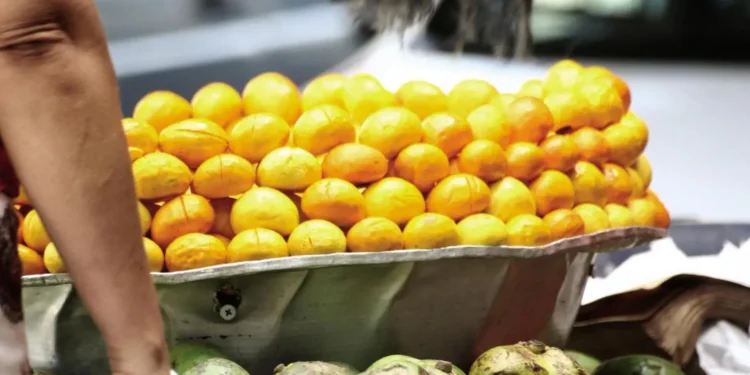 producao-de-pequi-em-goias-despenca-22%-e-preocupa-comunidades-extrativistas