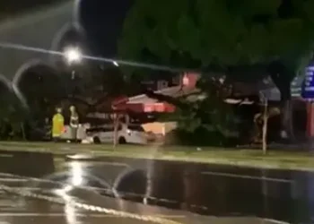 arvore-de-grande-porte-cai-sobre-carros-na-avenida-rio-verde