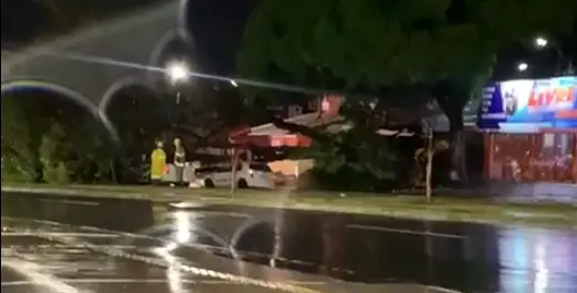 arvore-de-grande-porte-cai-sobre-carros-na-avenida-rio-verde