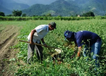 produtores-rurais-de-goias-em-crise:-dividas-colocam-o-plantio-da-safra-2026-em-risco