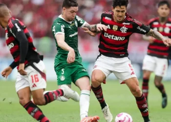 vidente-preve-possivel-campeao-da-libertadores-em-analise-sobre-flamengo-e-palmeiras