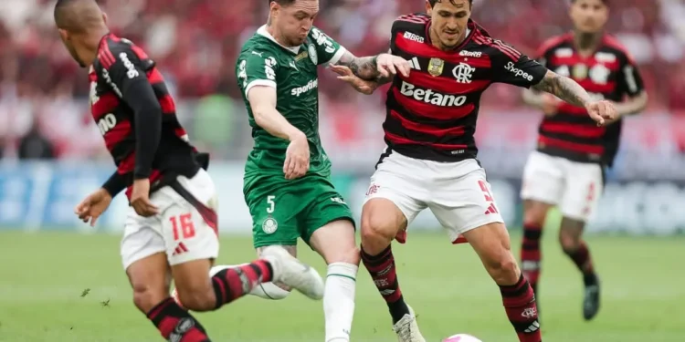 vidente-preve-possivel-campeao-da-libertadores-em-analise-sobre-flamengo-e-palmeiras