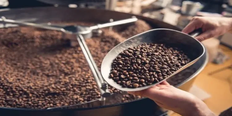 expansao-dos-cafes-especiais-aquece-o-agronegocio-e-cria-oportunidades-em-goias