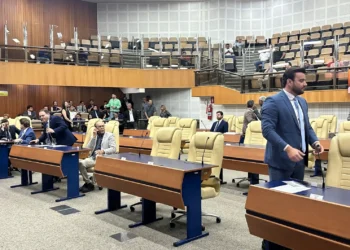 vereadores-de-goiania-querem-criar-cei-para-investigar-servico-dos-cemiterios