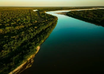 goias-e-reconhecido-por-reduzir-desmatamento-e-ganha-destaque-na-cop30