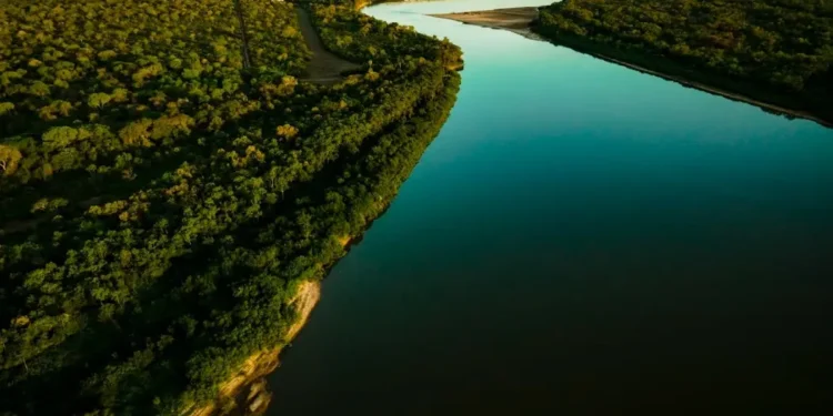 goias-e-reconhecido-por-reduzir-desmatamento-e-ganha-destaque-na-cop30