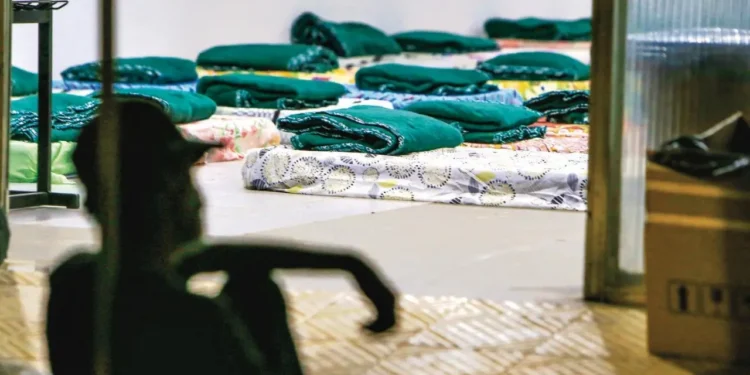 acolhimento-de-moradores-em-situacao-de-rua-segue-desafio-em-goiania