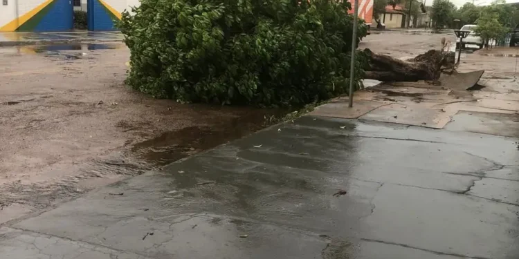 vendaval-causa-destruicao-em-crixas-e-prefeito-decreta-estado-de-calamidade-publica